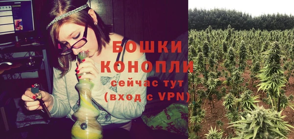 ПСИЛОЦИБИНОВЫЕ ГРИБЫ Навашино