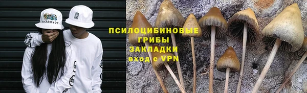 ПСИЛОЦИБИНОВЫЕ ГРИБЫ Навашино